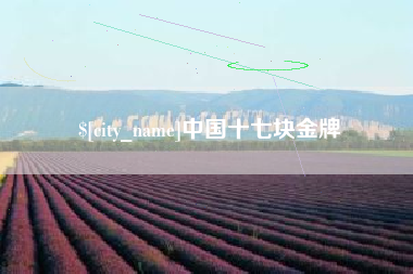 儋州中国十七块金牌