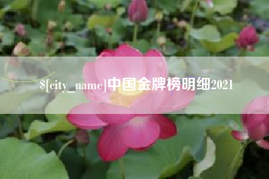 儋州中国金牌榜明细2021