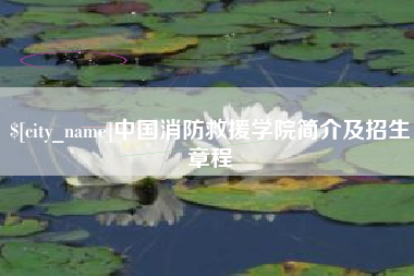 儋州中国消防救援学院简介及招生章程