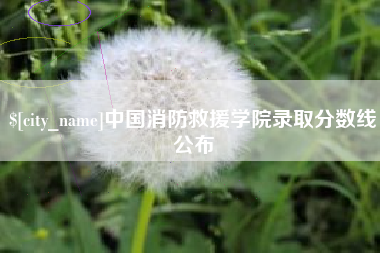 儋州中国消防救援学院录取分数线公布