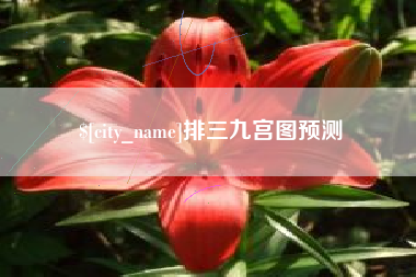 儋州排三九宫图预测