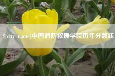 儋州中国消防救援学院历年分数线