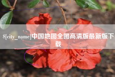 儋州中国地图全图高清版最新版下载