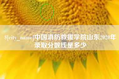 儋州中国消防救援学院山东2020年录取分数线是多少