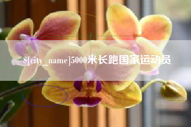 儋州5000米长跑国家运动员
