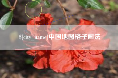 儋州中国地图格子画法