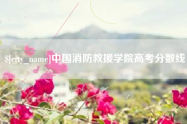 儋州中国消防救援学院高考分数线