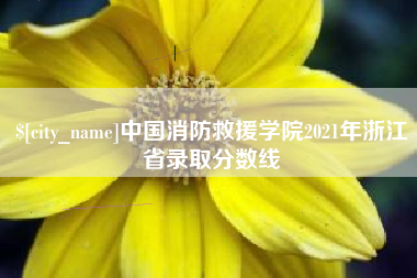 儋州中国消防救援学院2021年浙江省录取分数线