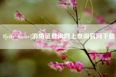 儋州消防证查询网上查询官网下载