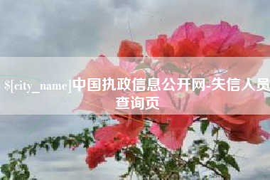 儋州中国执政信息公开网-失信人员查询页