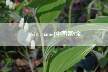 儋州中国第9金