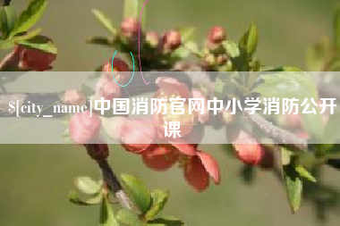 儋州中国消防官网中小学消防公开课