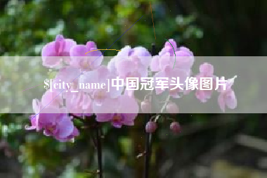 儋州中国冠军头像图片