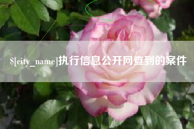 儋州执行信息公开网查到的案件
