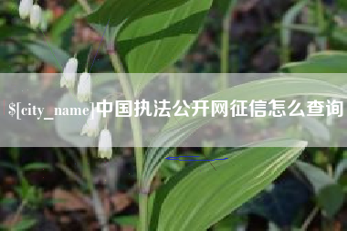 儋州中国执法公开网征信怎么查询