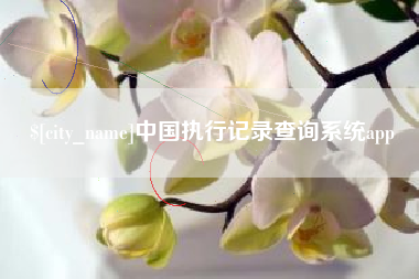 儋州中国执行记录查询系统app