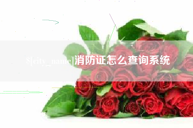 儋州消防证怎么查询系统