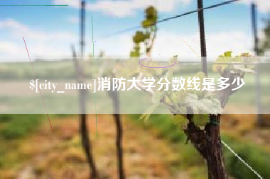 儋州消防大学分数线是多少
