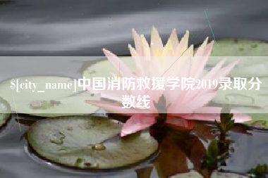 儋州中国消防救援学院2019录取分数线