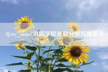 儋州消防学校录取分数线是多少