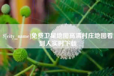 儋州免费卫星地图高清村庄地图看到人实时下载