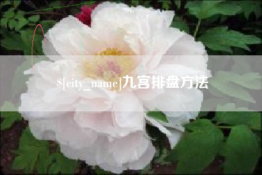 儋州九宫排盘方法