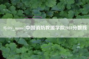 儋州中国消防救援学院2018分数线