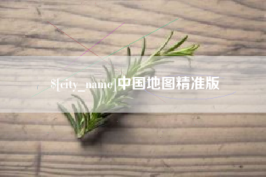 儋州中国地图精准版