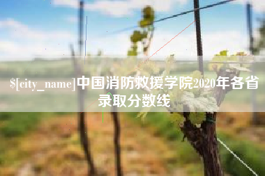 儋州中国消防救援学院2020年各省录取分数线