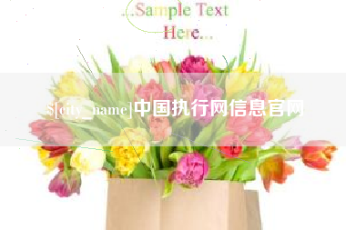 儋州中国执行网信息官网