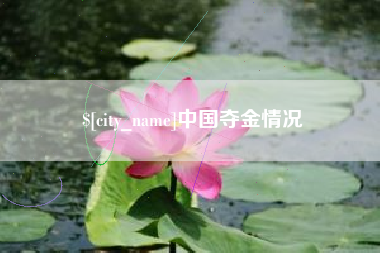 儋州中国夺金情况