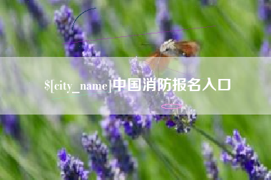 儋州中国消防报名入口