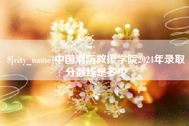 儋州中国消防救援学院2024年录取分数线是多少