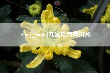 儋州九宫格方向排列