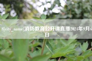 儋州消防教育公开课直播2024年9月6日