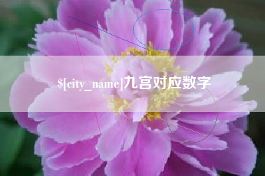 儋州九宫对应数字