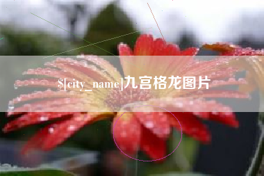 儋州九宫格龙图片