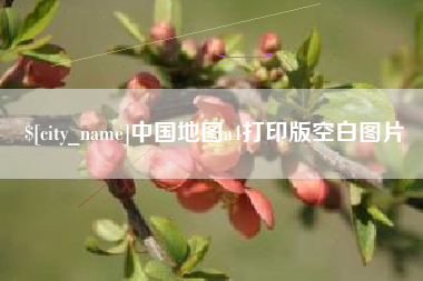 儋州中国地图a4打印版空白图片