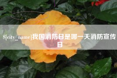 儋州我国消防日是哪一天消防宣传日