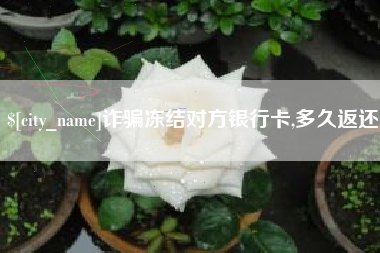 儋州诈骗冻结对方银行卡,多久返还