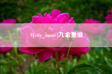 儋州九金是谁