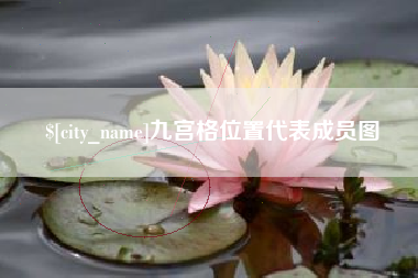 儋州九宫格位置代表成员图