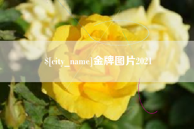 儋州金牌图片2021