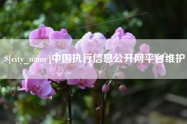 儋州中国执行信息公开网平台维护