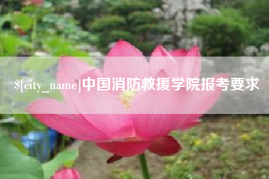 儋州中国消防救援学院报考要求