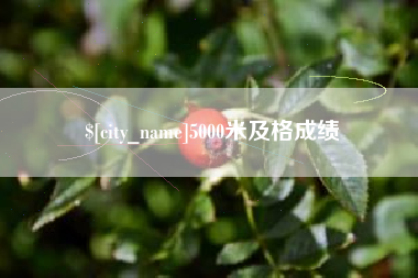 儋州5000米及格成绩