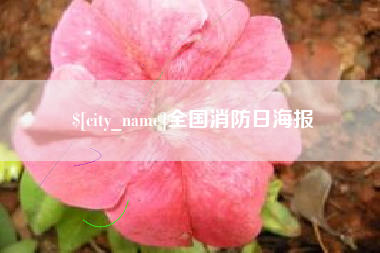 儋州全国消防日海报