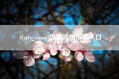 儋州国家消防报名入口