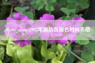 儋州2025年消防员报名时间表格