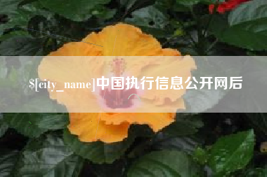 儋州中国执行信息公开网后